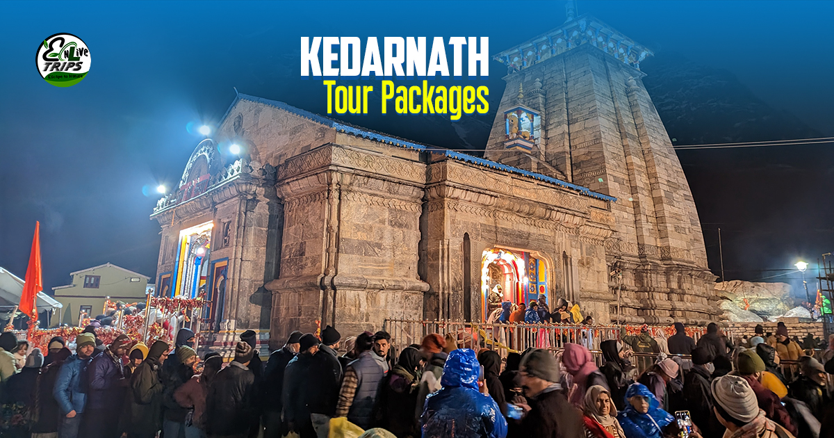 Kedarnath Trek and Yatra: How to Plan a Trip - A Complete Travel Guide
